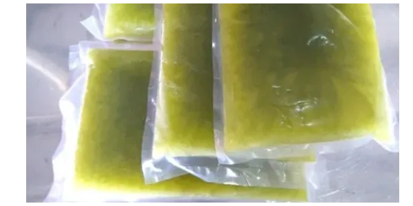 Frozen Sugarcane Juice Blocks